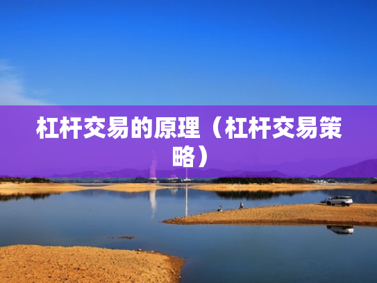 杠杆交易的原理（杠杆交易策略）