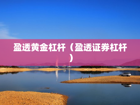 盈透黄金杠杆（盈透证券杠杆）