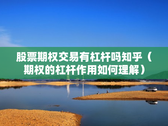 股票期权交易有杠杆吗知乎（期权的杠杆作用如何理解）