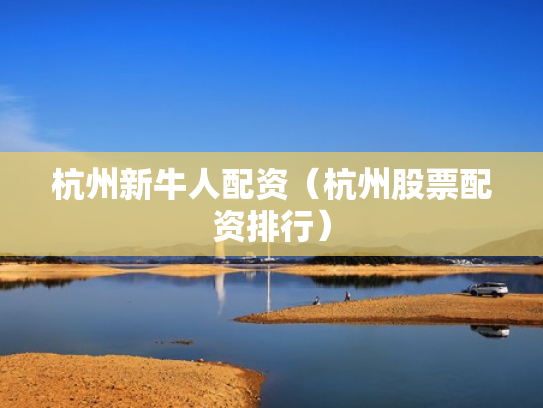 杭州新牛人配资（杭州股票配资排行）