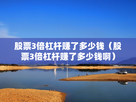 股票3倍杠杆赚了多少钱（股票3倍杠杆赚了多少钱啊）