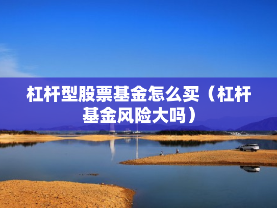 杠杆型股票基金怎么买（杠杆基金风险大吗）