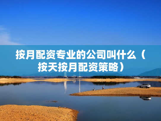 按月配资专业的公司叫什么（按天按月配资策略）