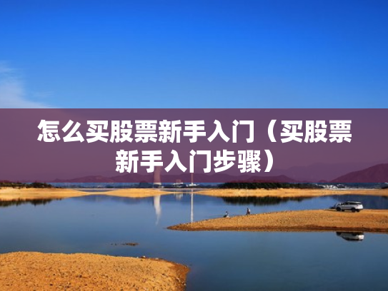 怎么买股票新手入门（买股票新手入门步骤）