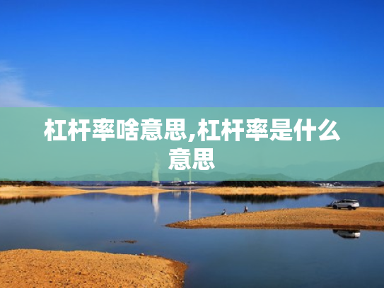 杠杆率啥意思,杠杆率是什么意思