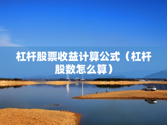 杠杆股票收益计算公式（杠杆股数怎么算）