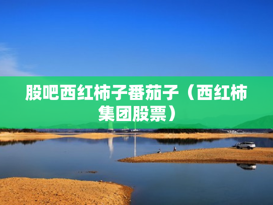 股吧西红柿子番茄子（西红柿集团股票）