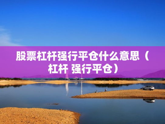 股票杠杆强行平仓什么意思（杠杆 强行平仓）