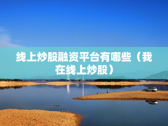 线上炒股融资平台有哪些（我在线上炒股）