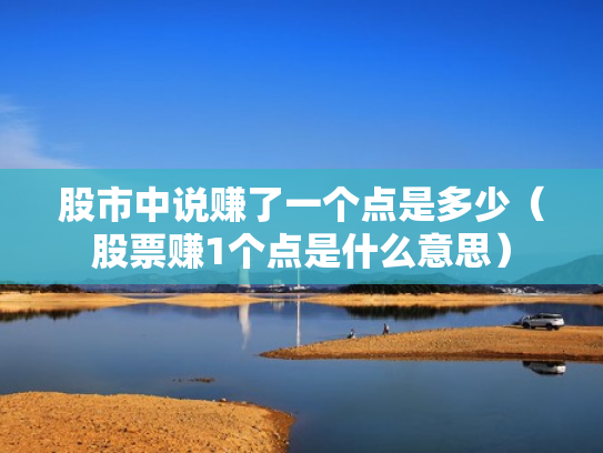 股市中说赚了一个点是多少（股票赚1个点是什么意思）