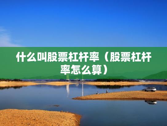 什么叫股票杠杆率（股票杠杆率怎么算）