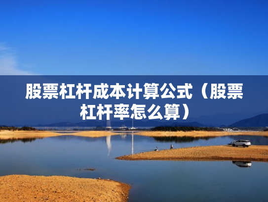 股票杠杆成本计算公式（股票杠杆率怎么算）