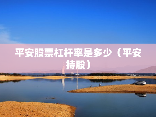 平安股票杠杆率是多少（平安持股）