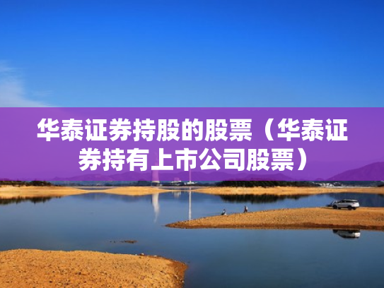 华泰证券持股的股票（华泰证券持有上市公司股票）