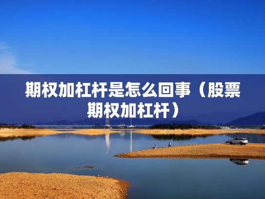期权加杠杆是怎么回事（股票期权加杠杆）