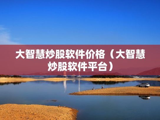 大智慧炒股软件价格（大智慧炒股软件平台）