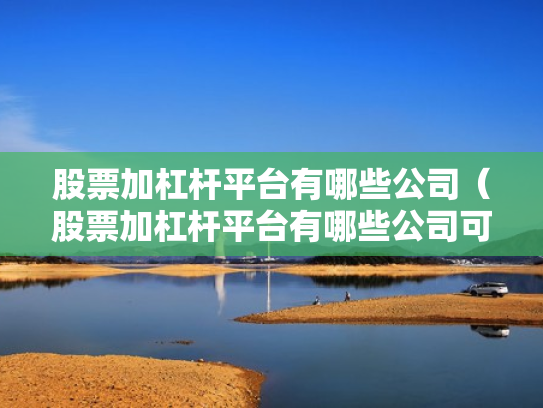 股票加杠杆平台有哪些公司（股票加杠杆平台有哪些公司可以参与）