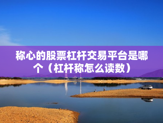 称心的股票杠杆交易平台是哪个（杠杆称怎么读数）