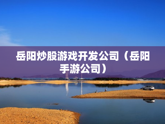 岳阳炒股游戏开发公司（岳阳手游公司）