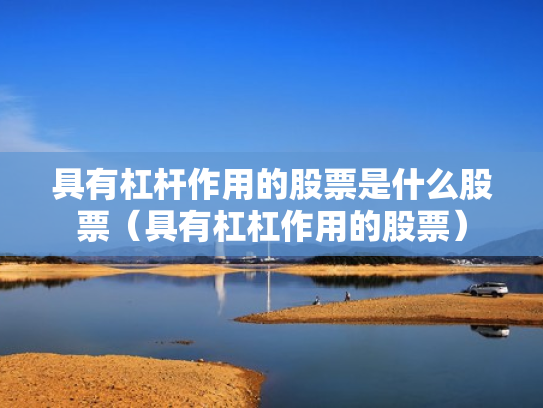 具有杠杆作用的股票是什么股票（具有杠杠作用的股票）