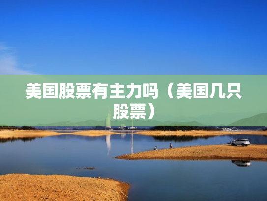 美国股票有主力吗（美国几只股票）