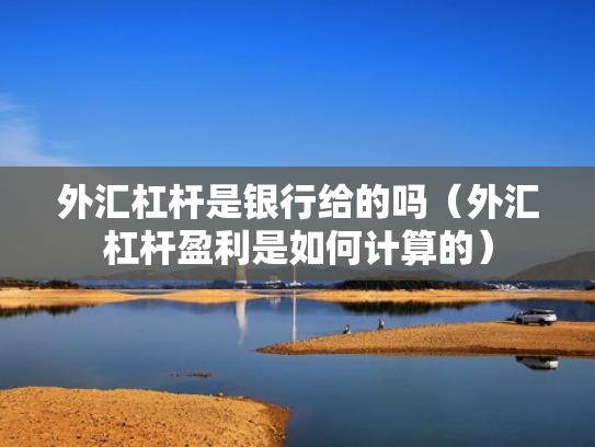外汇杠杆是银行给的吗（外汇杠杆盈利是如何计算的）