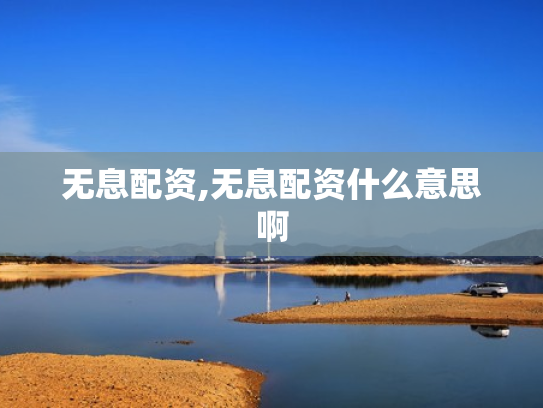 无息配资,无息配资什么意思啊