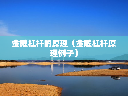 金融杠杆的原理（金融杠杆原理例子）