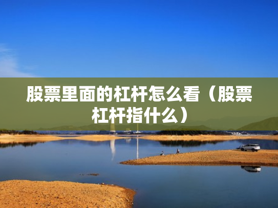 股票里面的杠杆怎么看（股票杠杆指什么）