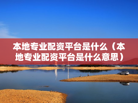 本地专业配资平台是什么（本地专业配资平台是什么意思）