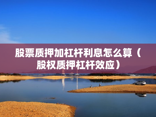 股票质押加杠杆利息怎么算（股权质押杠杆效应）