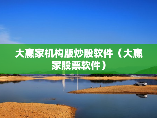 大赢家机构版炒股软件（大赢家股票软件）