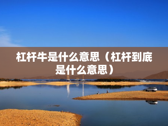 杠杆牛是什么意思（杠杆到底是什么意思）