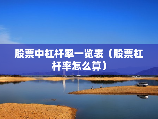 股票中杠杆率一览表（股票杠杆率怎么算）