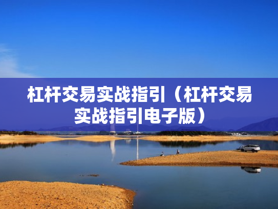 杠杆交易实战指引（杠杆交易实战指引电子版）