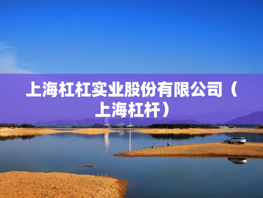 上海杠杠实业股份有限公司（上海杠杆）