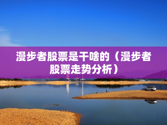 漫步者股票是干啥的（漫步者股票走势分析）