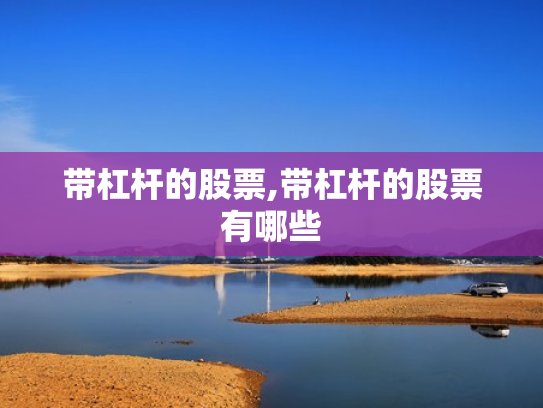 带杠杆的股票,带杠杆的股票有哪些