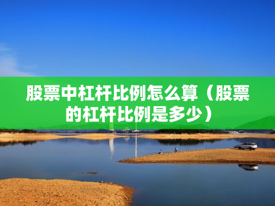 股票中杠杆比例怎么算（股票的杠杆比例是多少）