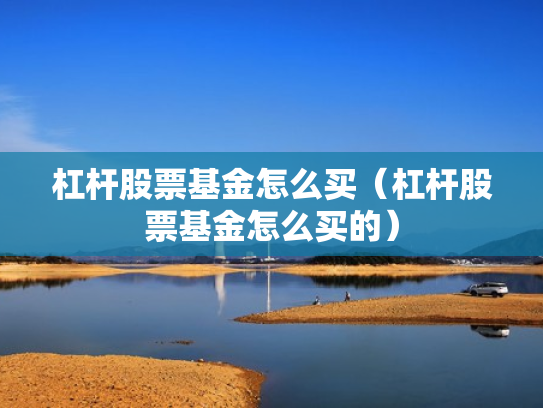 杠杆股票基金怎么买（杠杆股票基金怎么买的）