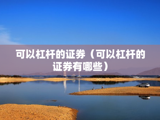 可以杠杆的证券（可以杠杆的证券有哪些）
