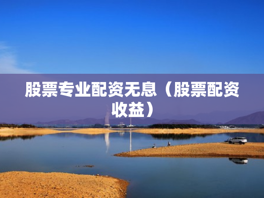 股票专业配资无息（股票配资收益）