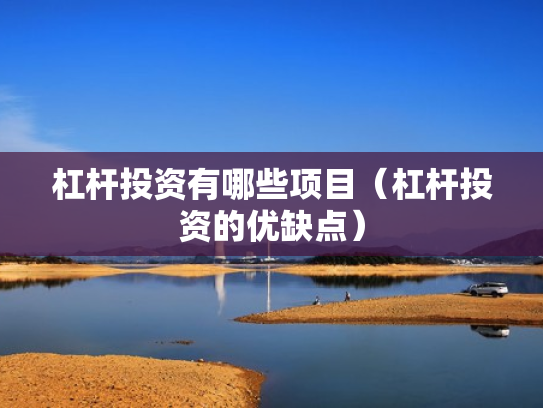 杠杆投资有哪些项目（杠杆投资的优缺点）