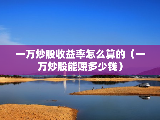 一万炒股收益率怎么算的（一万炒股能赚多少钱）
