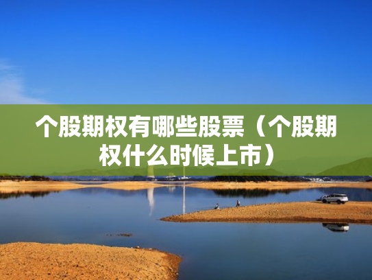 个股期权有哪些股票（个股期权什么时候上市）