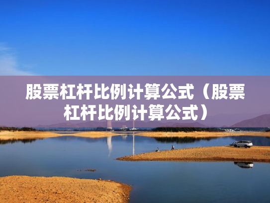 股票杠杆比例计算公式（股票杠杆比例计算公式）