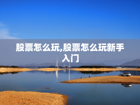 股票怎么玩,股票怎么玩新手入门