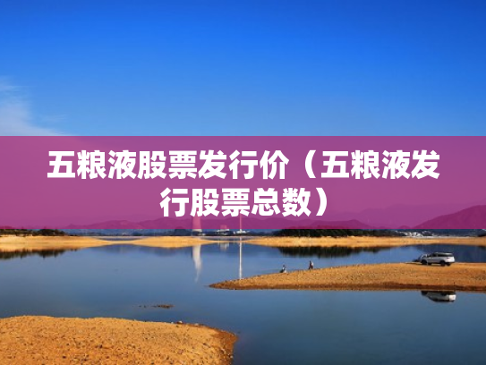 五粮液股票发行价（五粮液发行股票总数）
