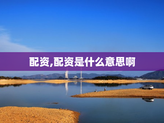 配资,配资是什么意思啊