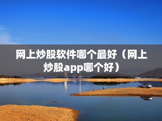 网上炒股软件哪个最好（网上炒股app哪个好）